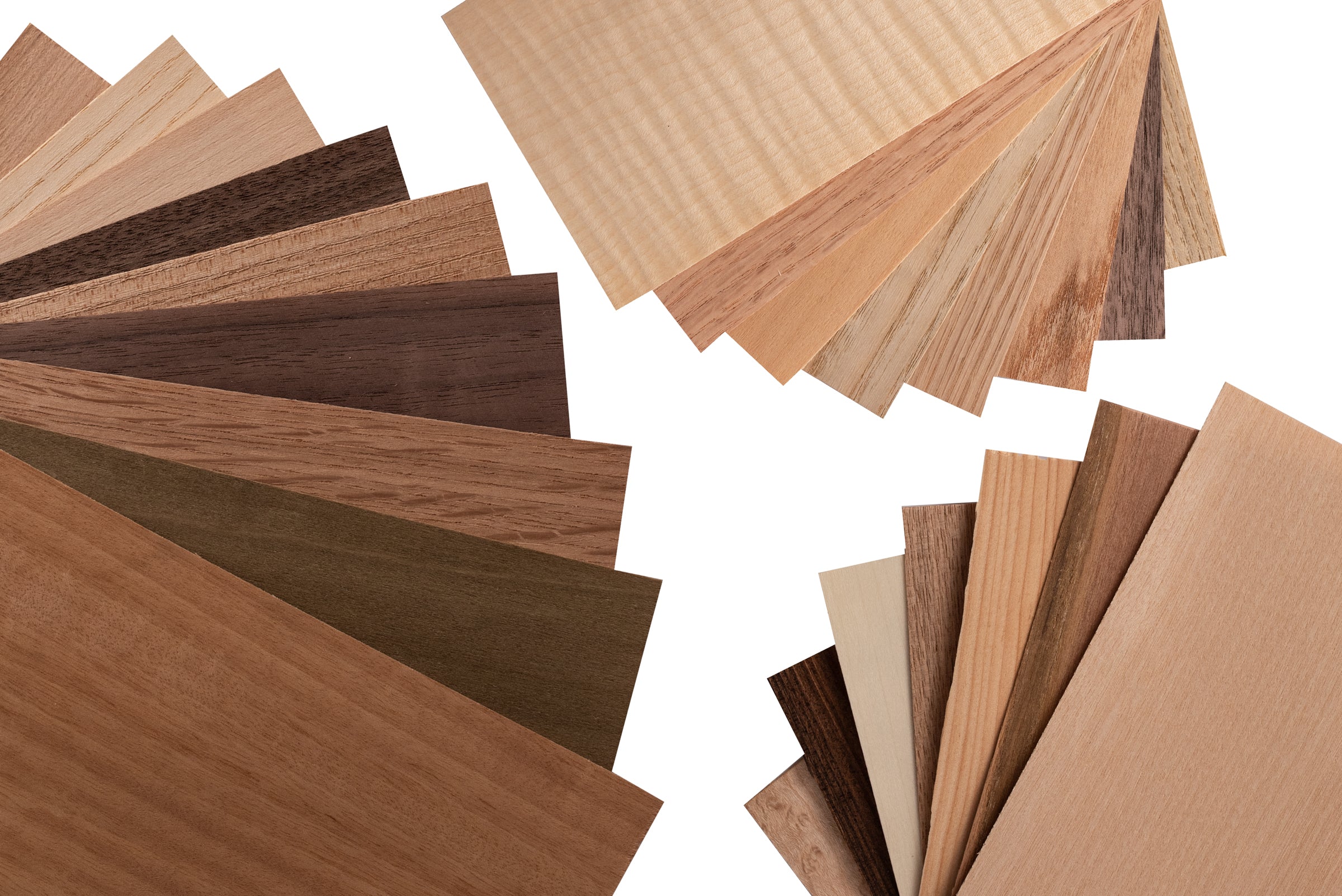 Domestic Wood Veneer Identification Pack - 25 Piece