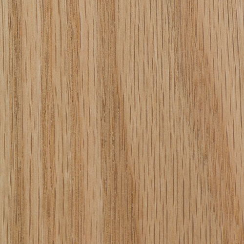Roble americano